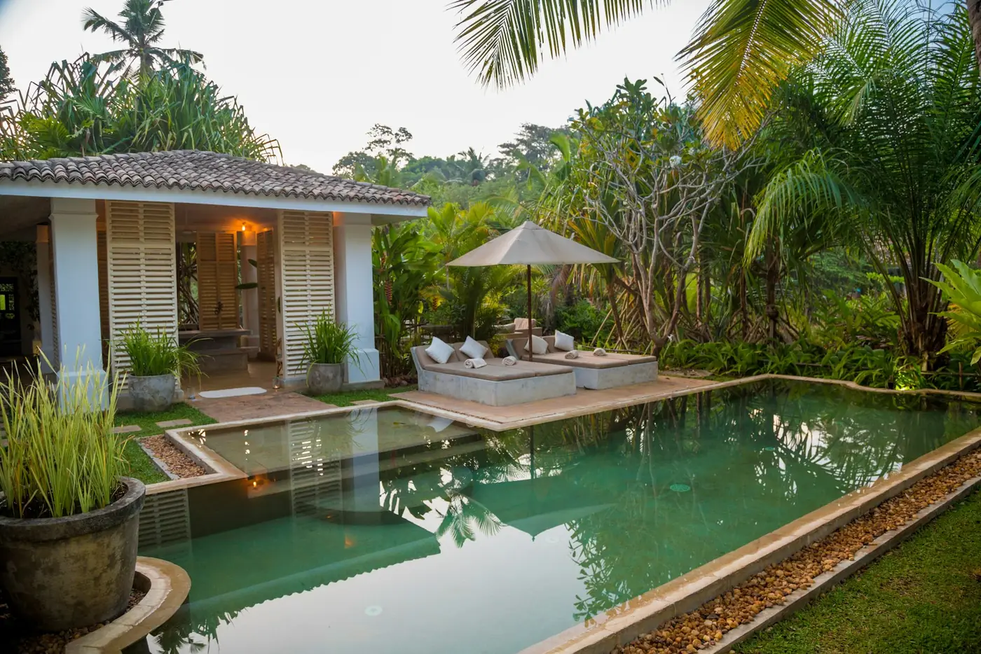 Modern tropical villa in Sri Lanka with preserved jungle view