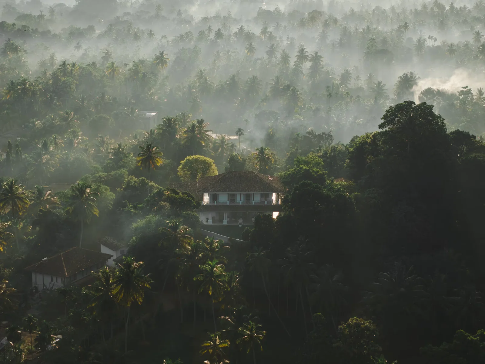 Villa nestled in the misty palm jungle of Sri Lanka's south coast at dawn, managed by Maison Ceylon